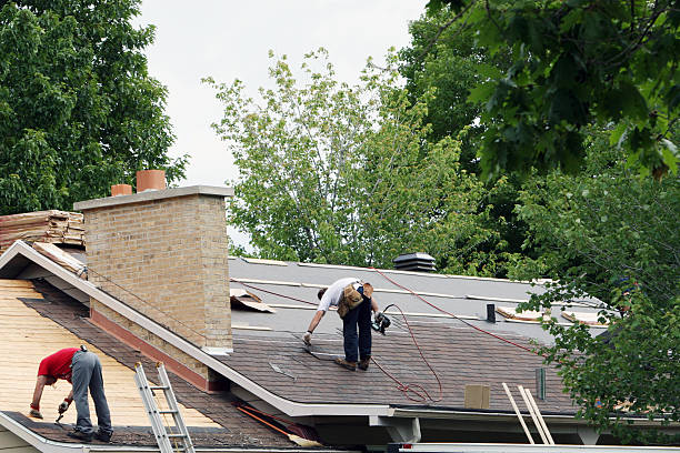 Best Roof Gutter Cleaning  in Eslon, CA