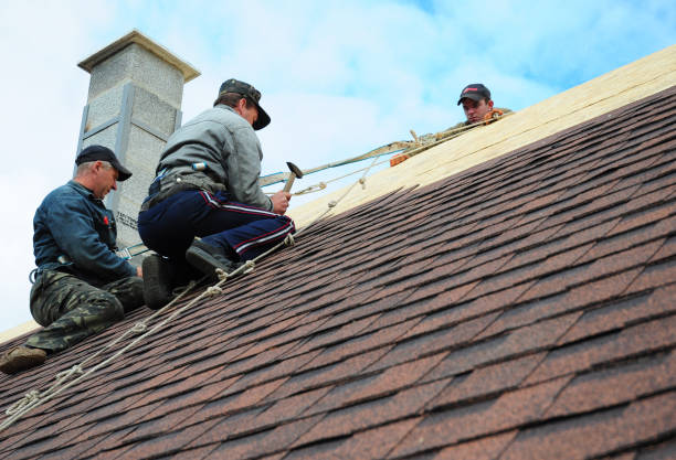 Best New Roof Installation  in Eslon, CA